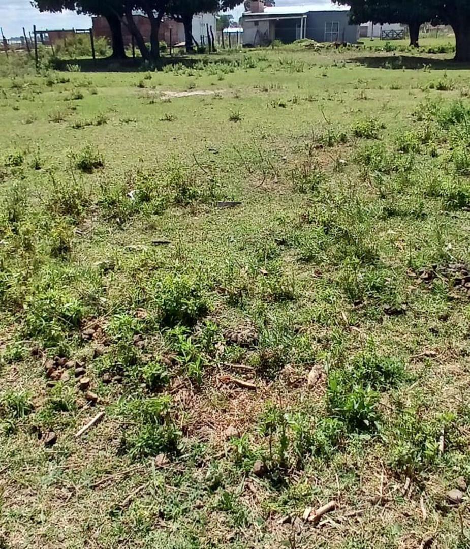 Foto de TERRENO EN VENTA A METROS DEL RÍO PARANÁ – LAVALLE, imagen 4