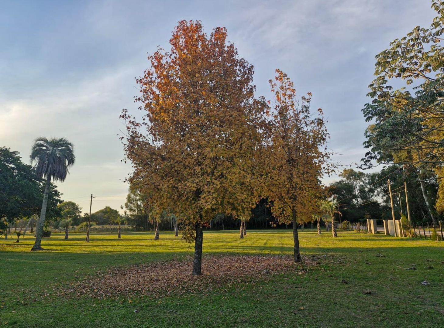 Foto de CASA EN VENTA EN LOTEO RAICES DE CAROLINA, imagen 5