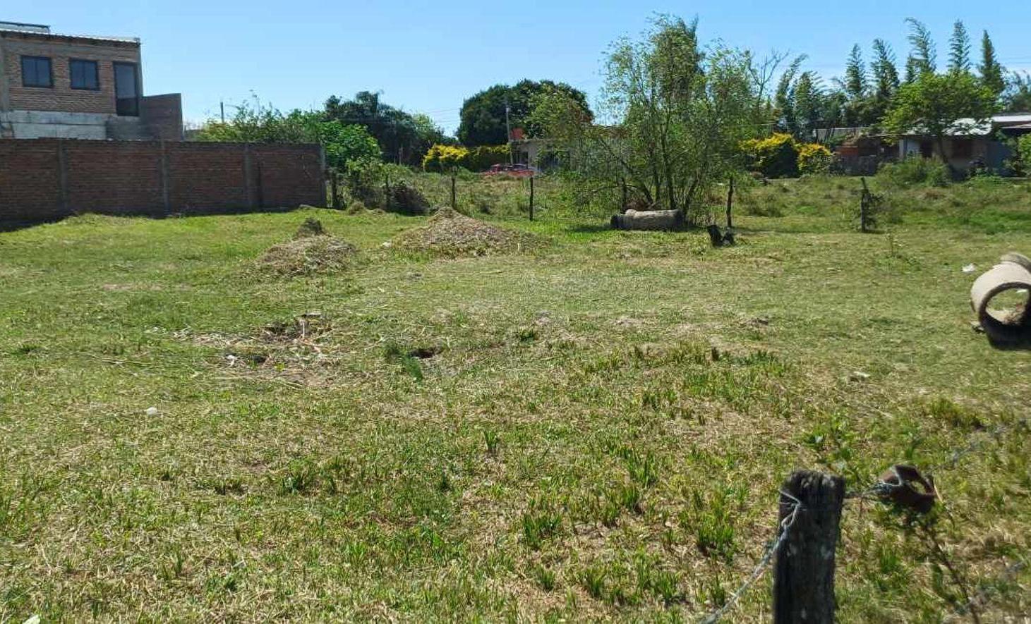 Foto de Terreno de 280m² En Venta - G. Pando 580, imagen 3