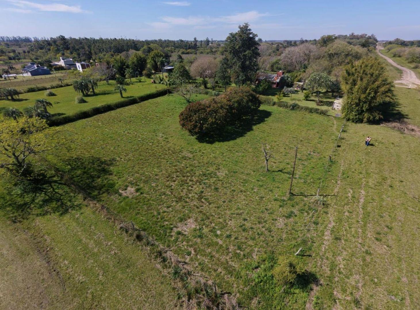 Foto de TERRENO DE 2500 M2 EN VENTA, imagen 1