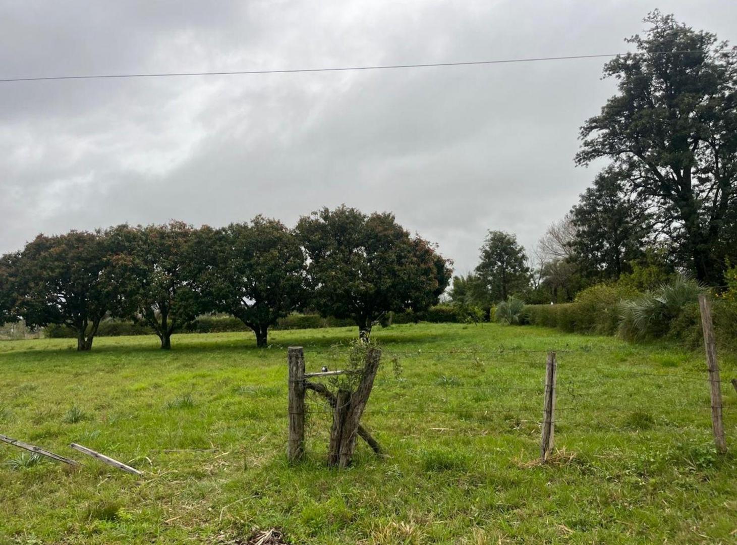 Foto de TERRENO DE 2500 M2 EN VENTA, imagen 3