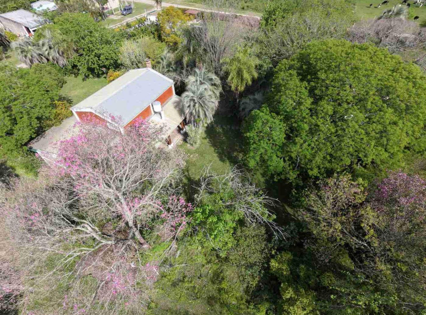 Foto de Casa Quinta doble planta, imagen 4