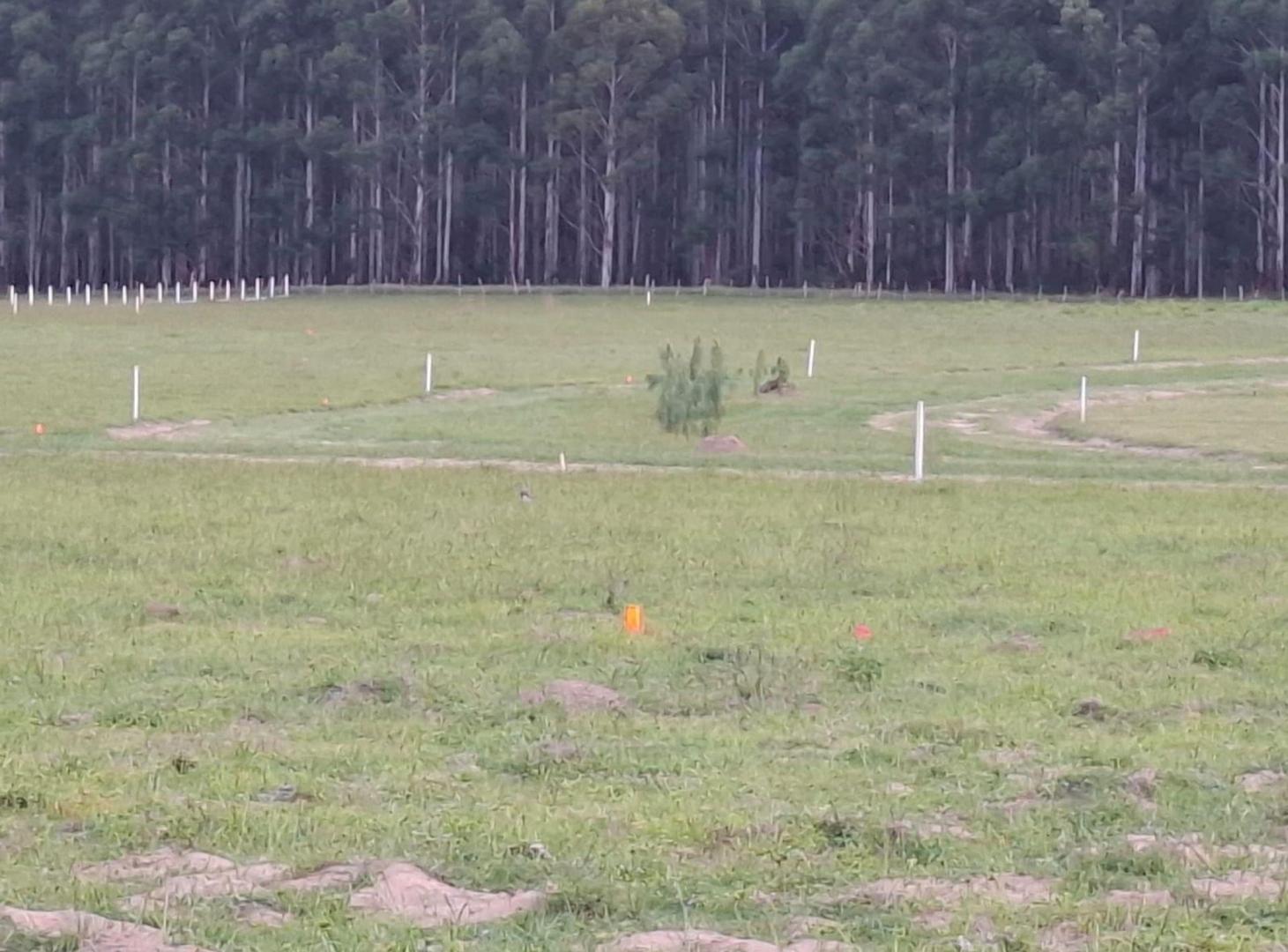 Foto de Venta de Lotes Financiados - LOTEO CAMPO ESQUINA, imagen 3