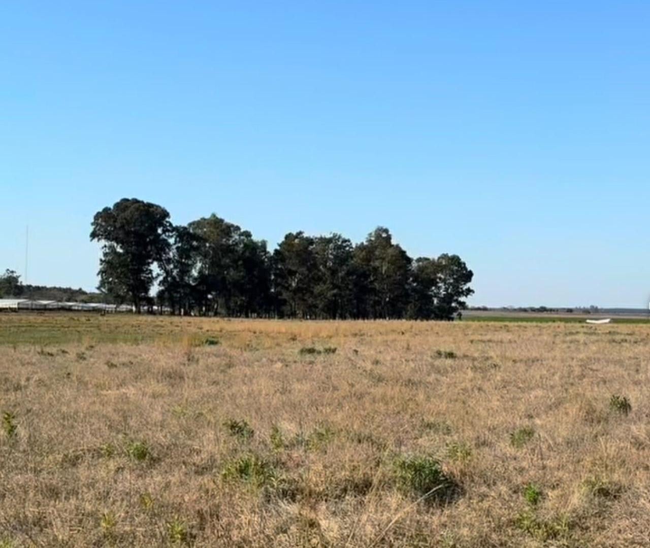 Foto de LOTE EN VENTA CERCA DE LAGUNA PUCU, imagen 2