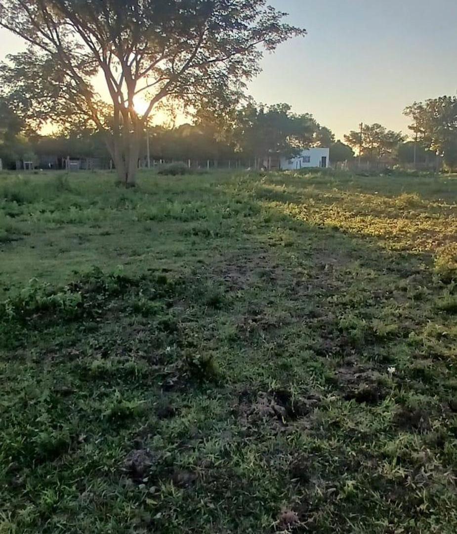 Foto de Terreno en venta en Yatay Ti Calle, imagen 4