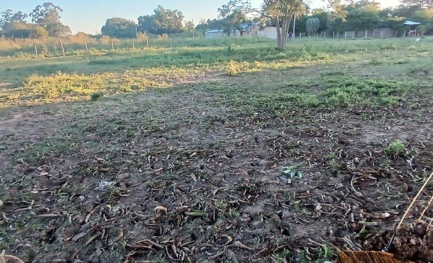 Foto de Terreno en venta en Yatay Ti Calle, imagen 5