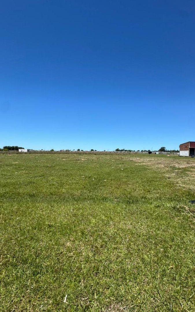Foto de Lote en venta sobre ruta en Cnia. Carolina, imagen 3