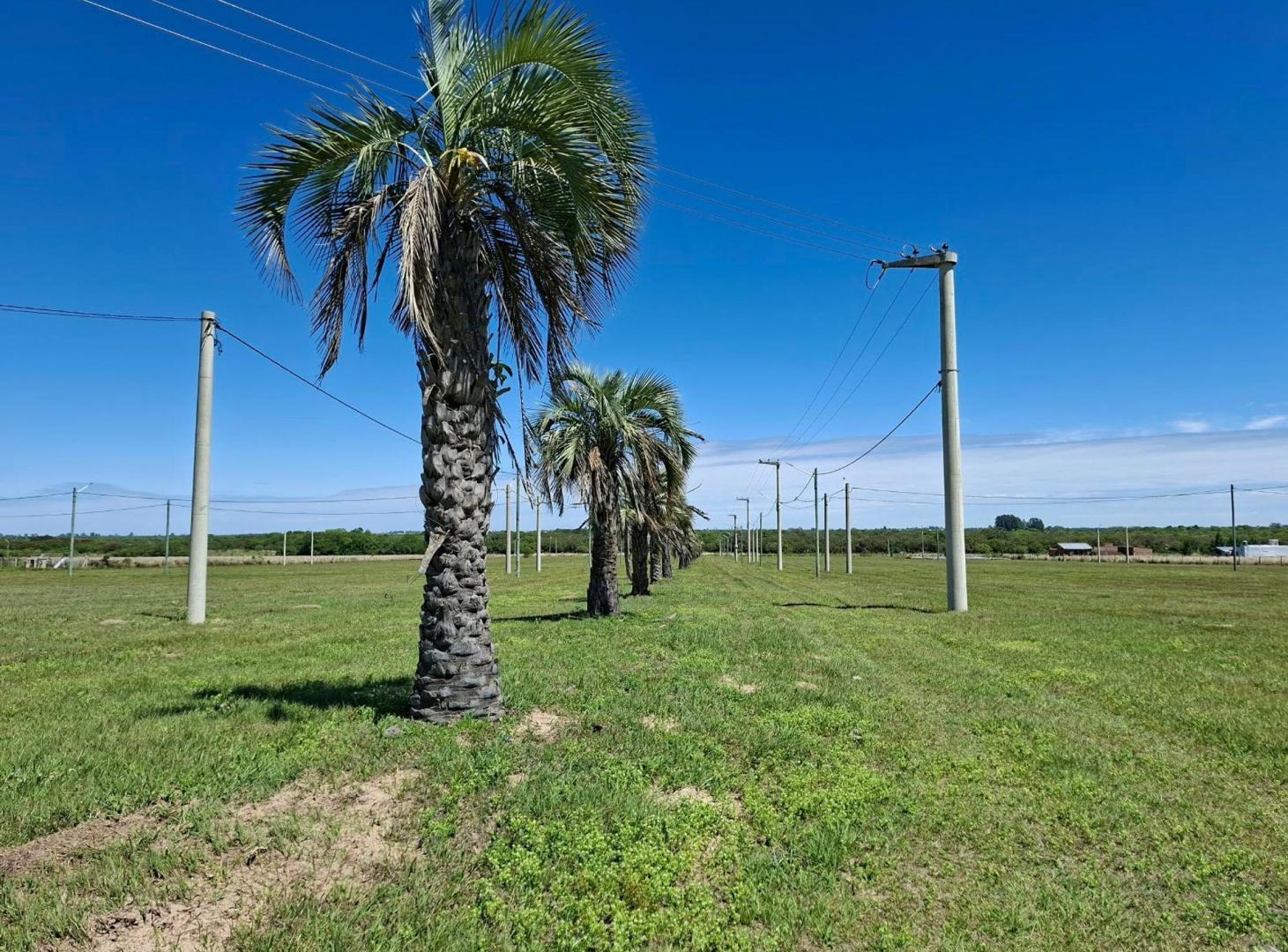Foto de Venta de 3 lotes de terreno en Arandú, Carolina, imagen 3