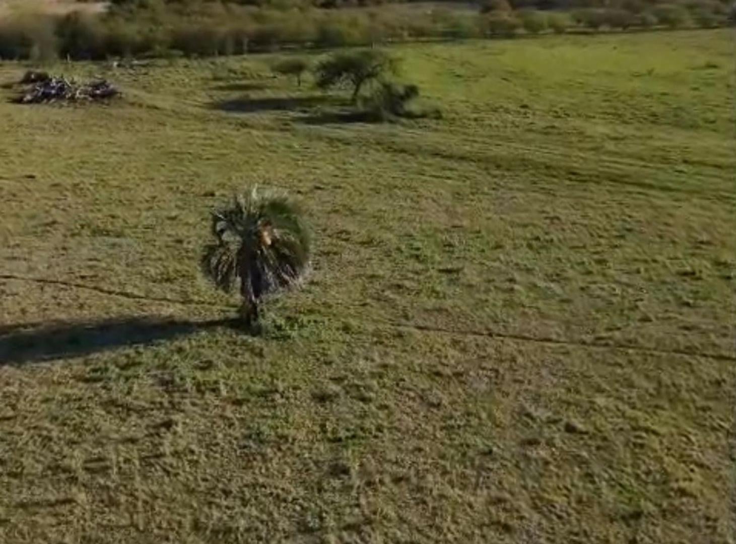 Foto de LOTE EN VENTA EN LOTEO MARIA TERESA, imagen 2
