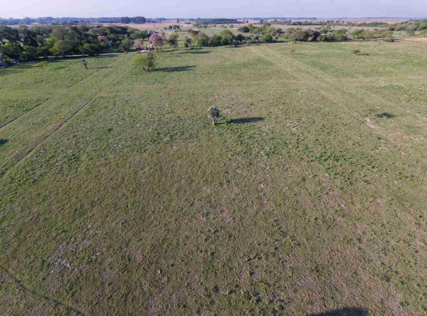 Foto de Lotes en venta Colonia Porvenir, imagen 1