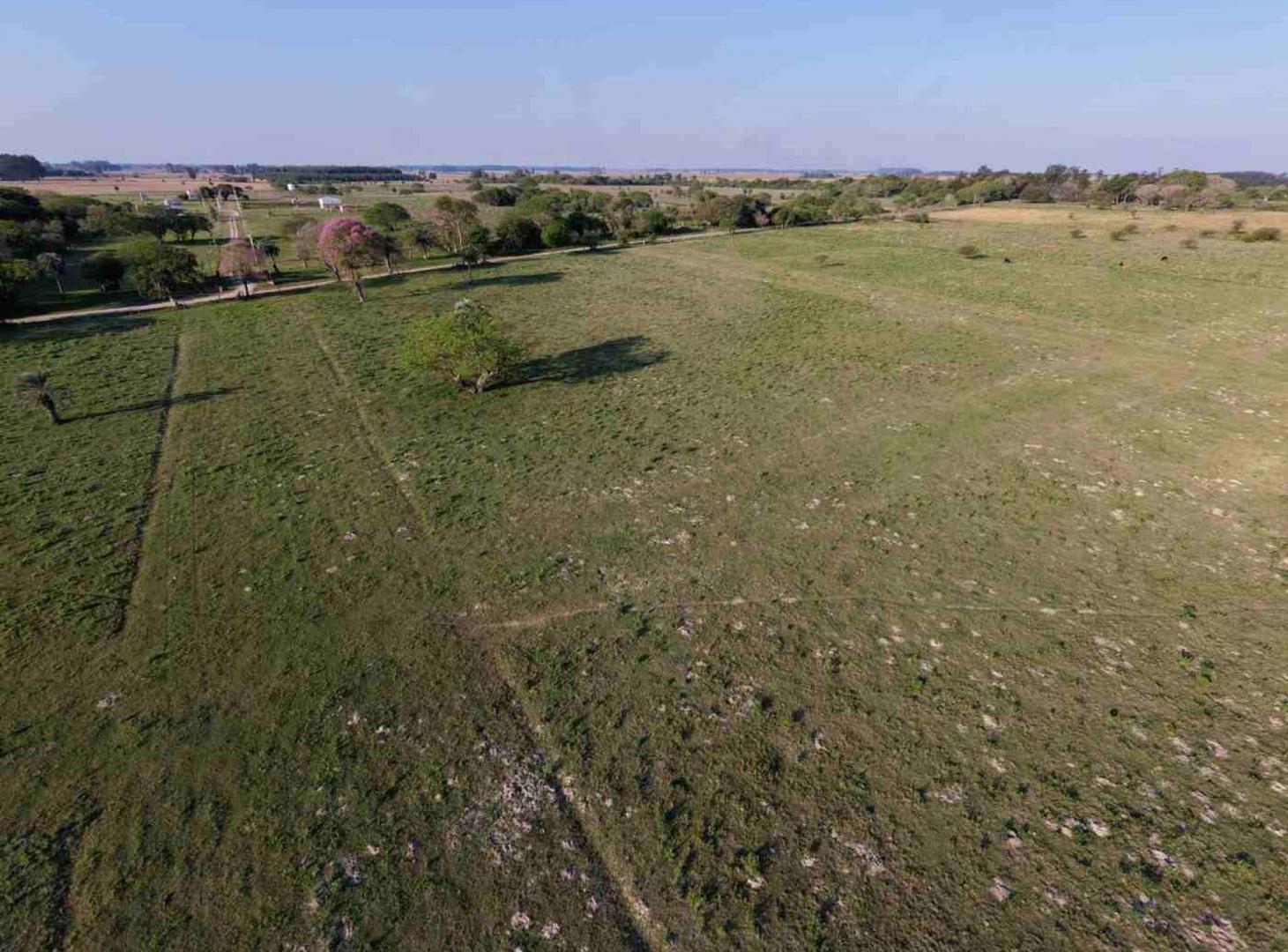 Foto de Lotes en venta Colonia Porvenir, imagen 5