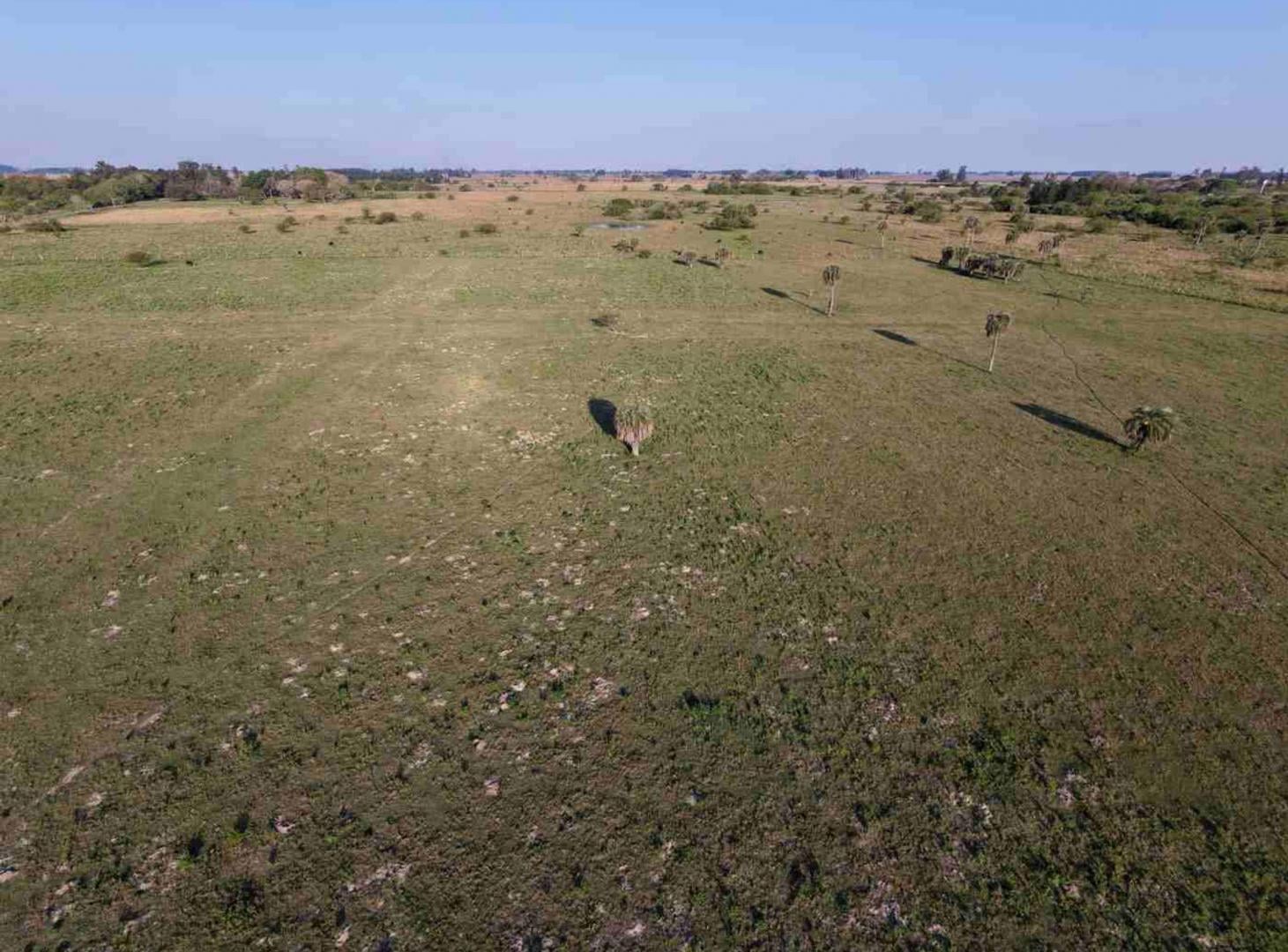 Foto de Lotes en venta Colonia Porvenir, imagen 4