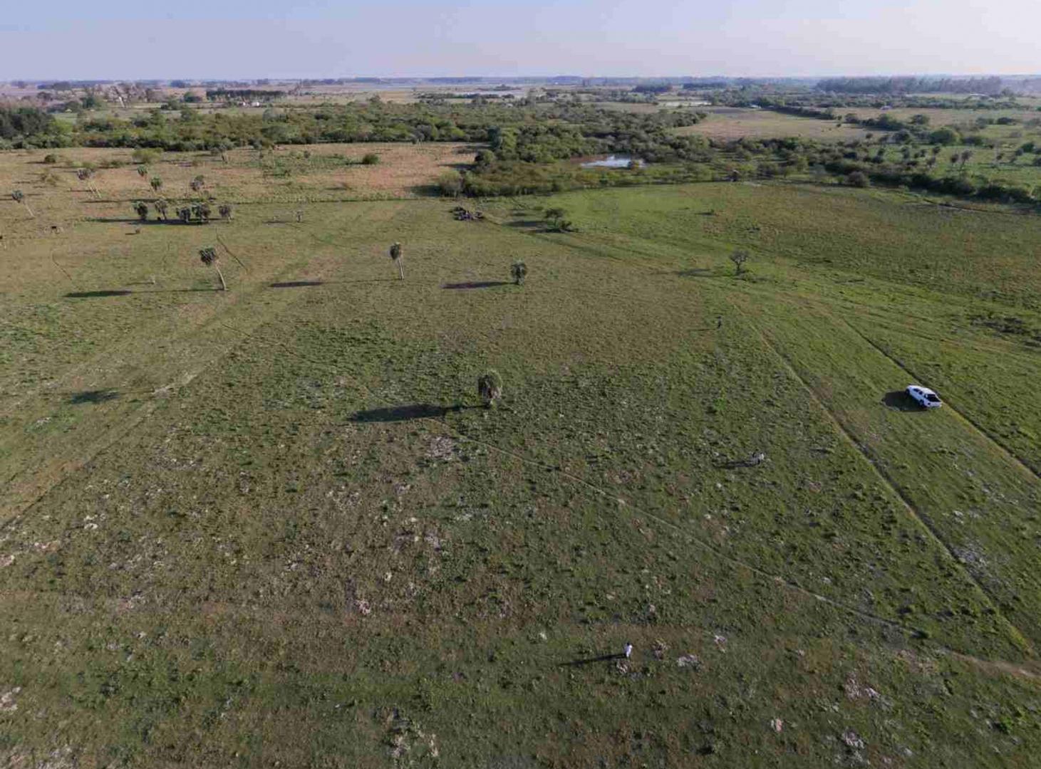 Foto de Lotes en venta en Colonia Porvenir, imagen 2