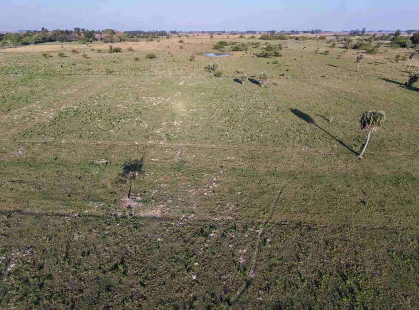 Foto de Lotes en venta en Colonia Porvenir, imagen 3