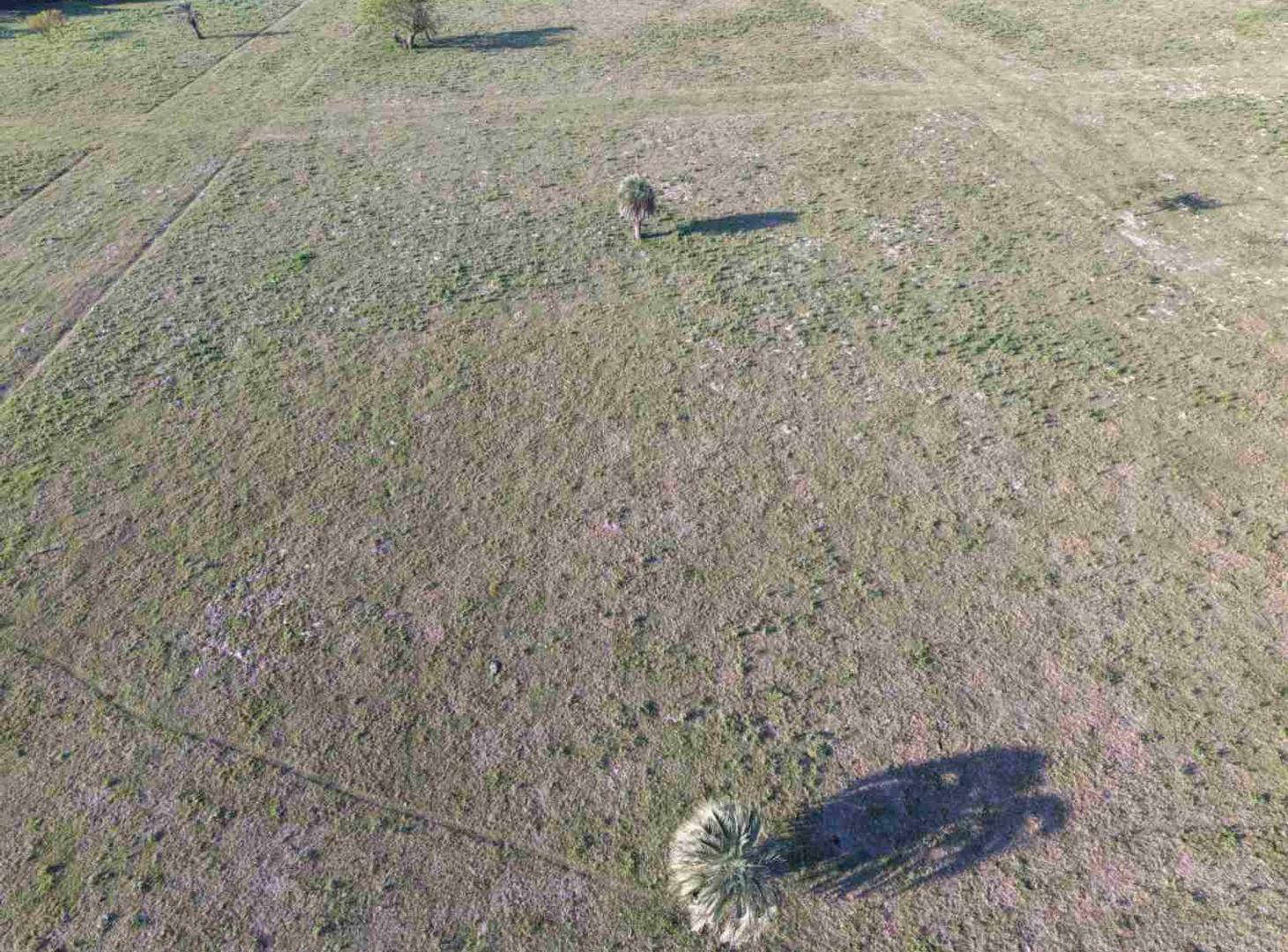 Foto de Lotes en venta en Colonia Porvenir, imagen 5