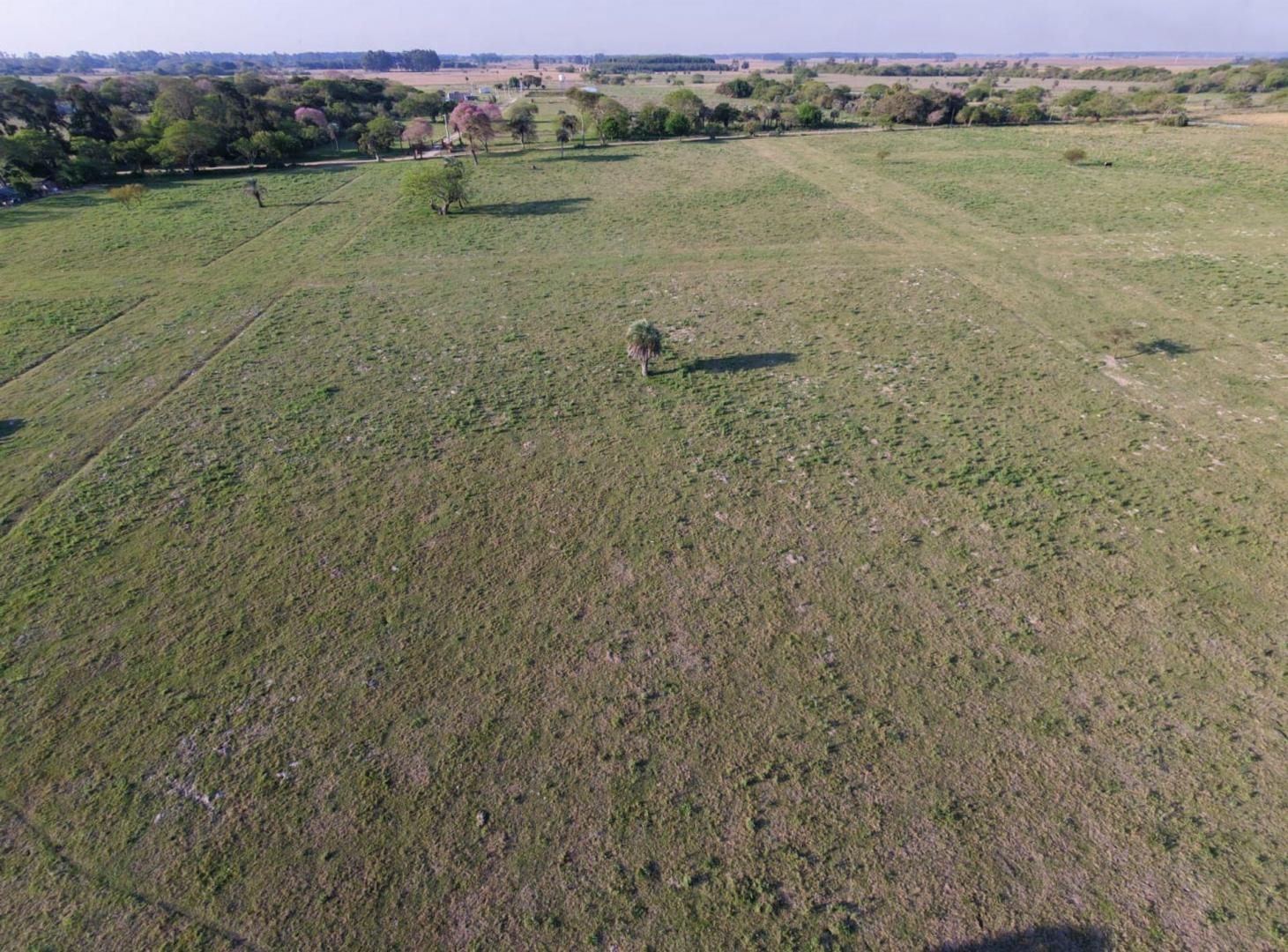 Foto de Lotes en Venta | Colonia Porvenir, imagen 3