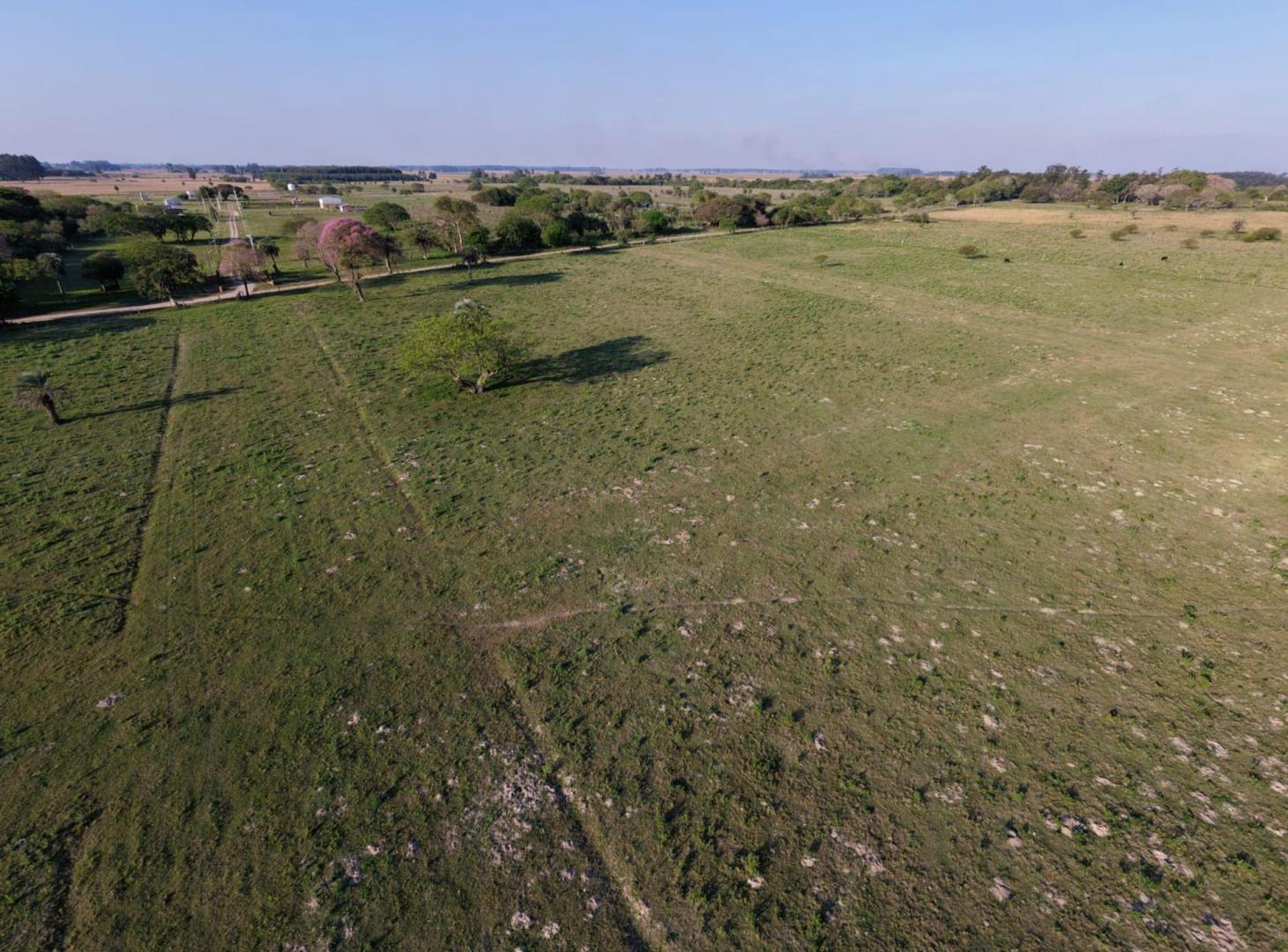 Foto de Lotes en Venta | Colonia Porvenir, imagen 4