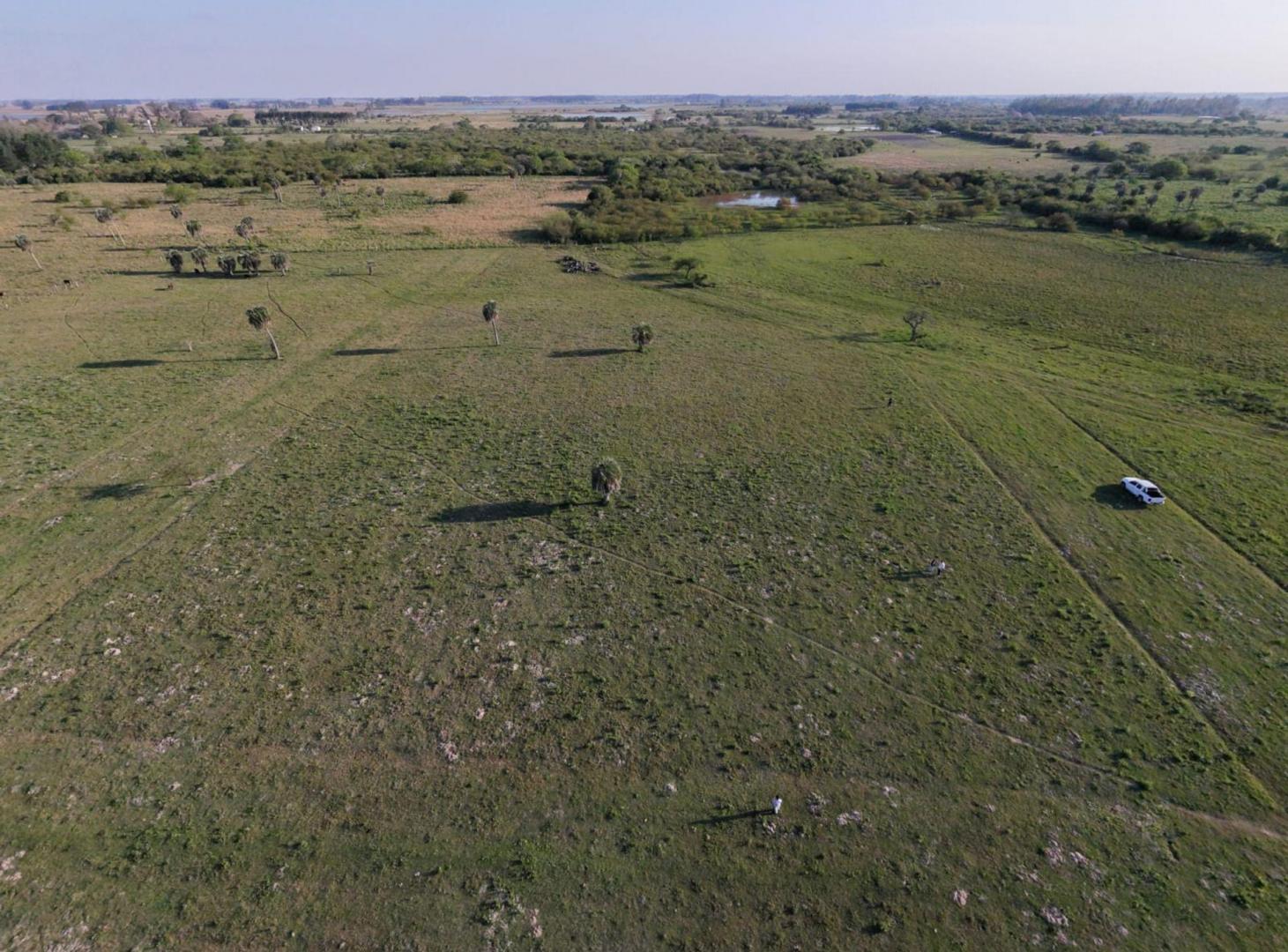 Foto de Lotes en Venta | Colonia Porvenir, imagen 5