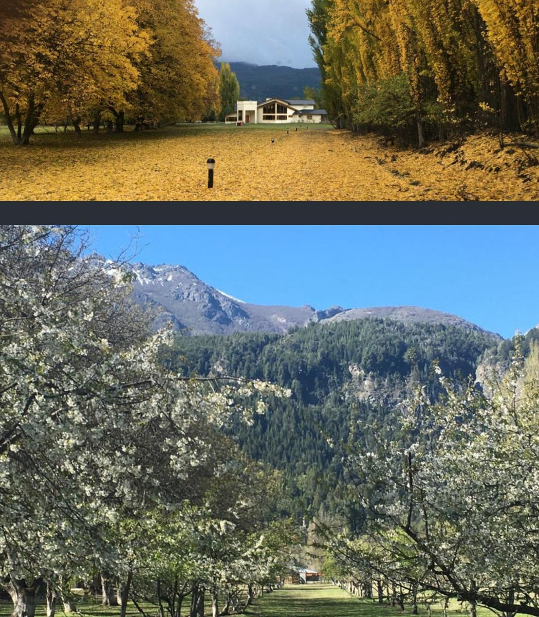 Casa en El Hoyo, Chubut, en Terreno de 8 Ha 4