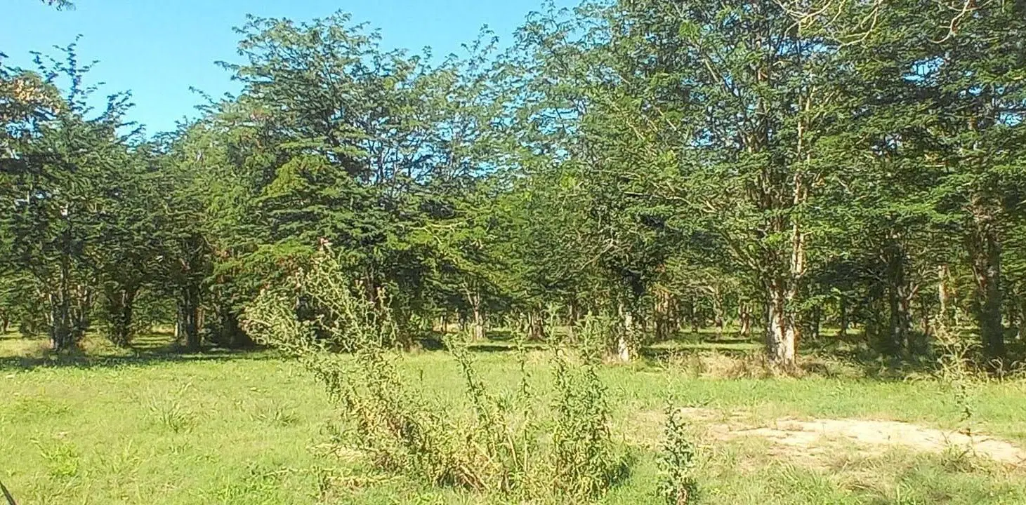 Terreno en Barrio Privado Abril Sur 3