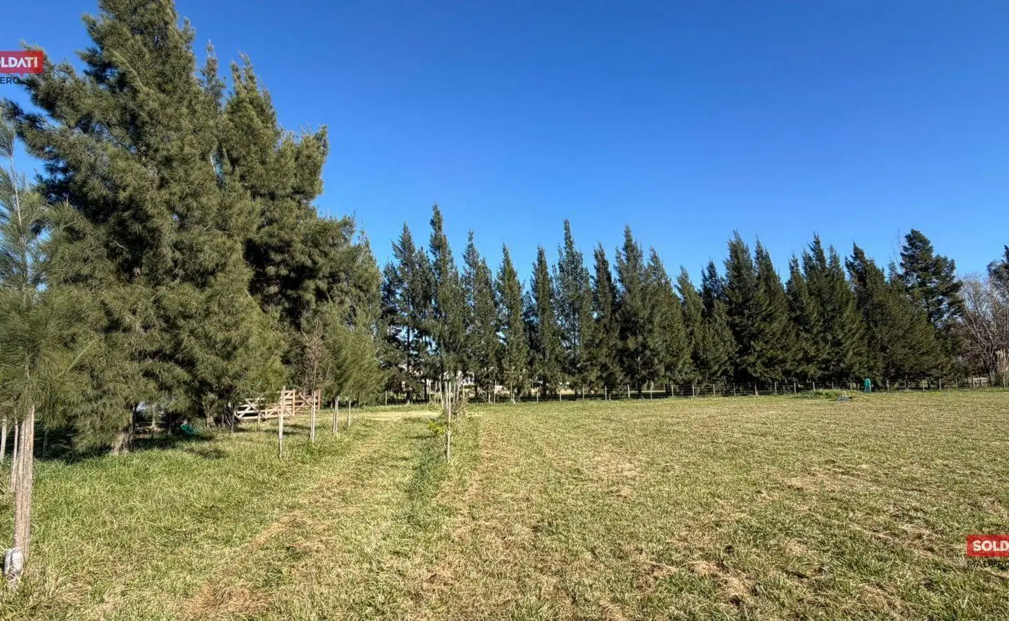 lote en venta 2