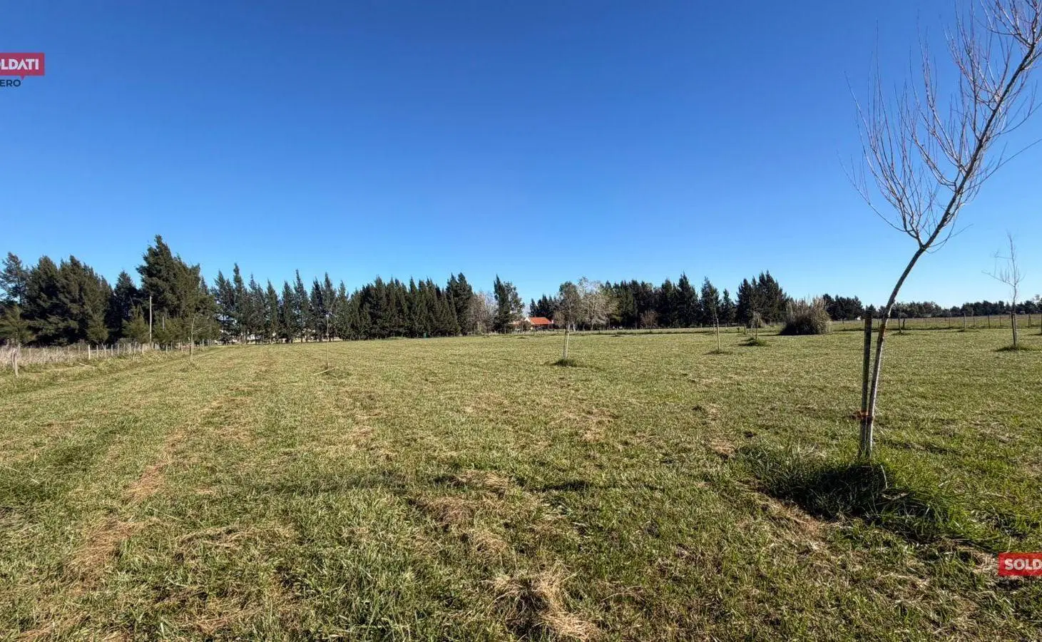 lote en venta 5