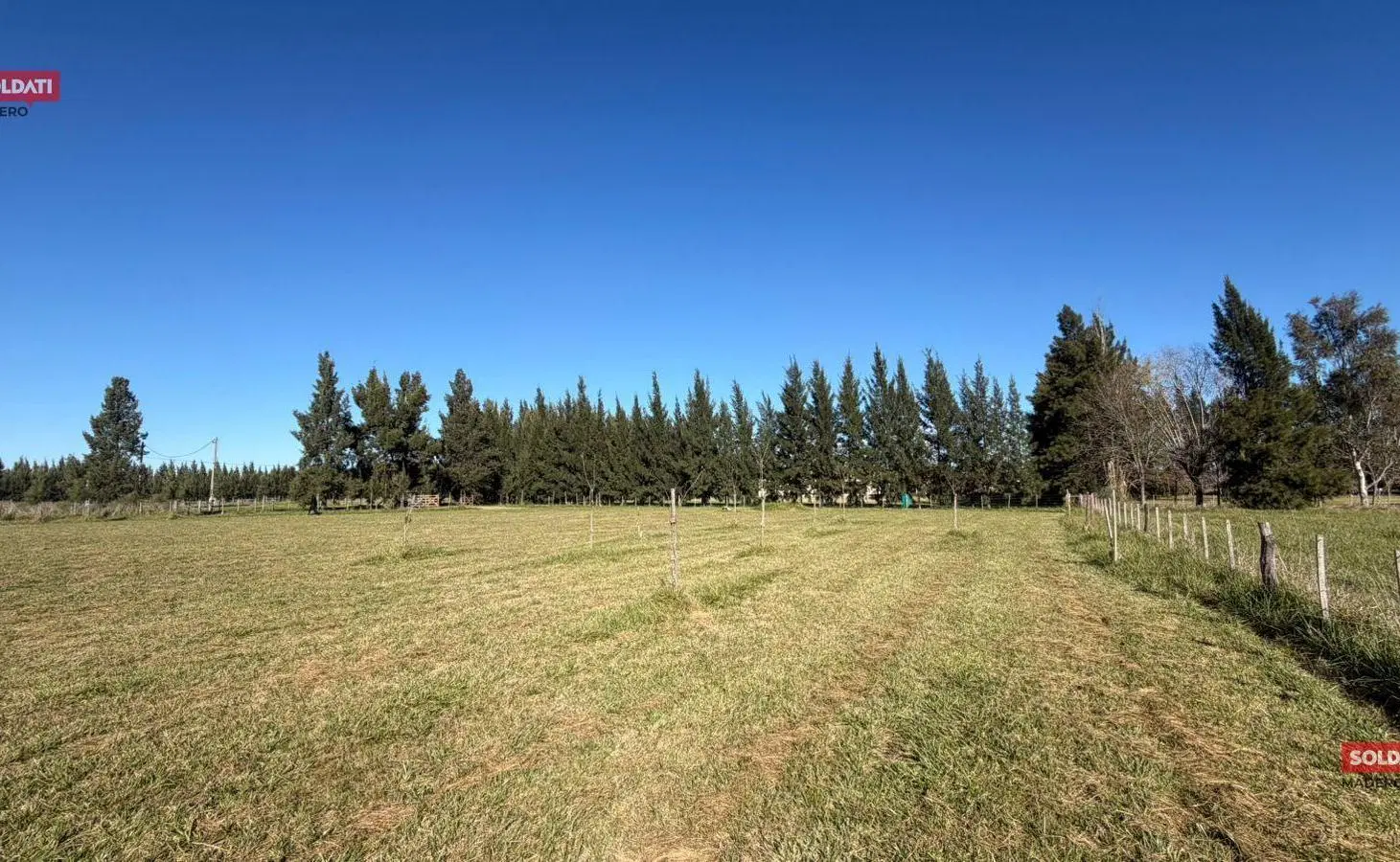 lote en venta 4