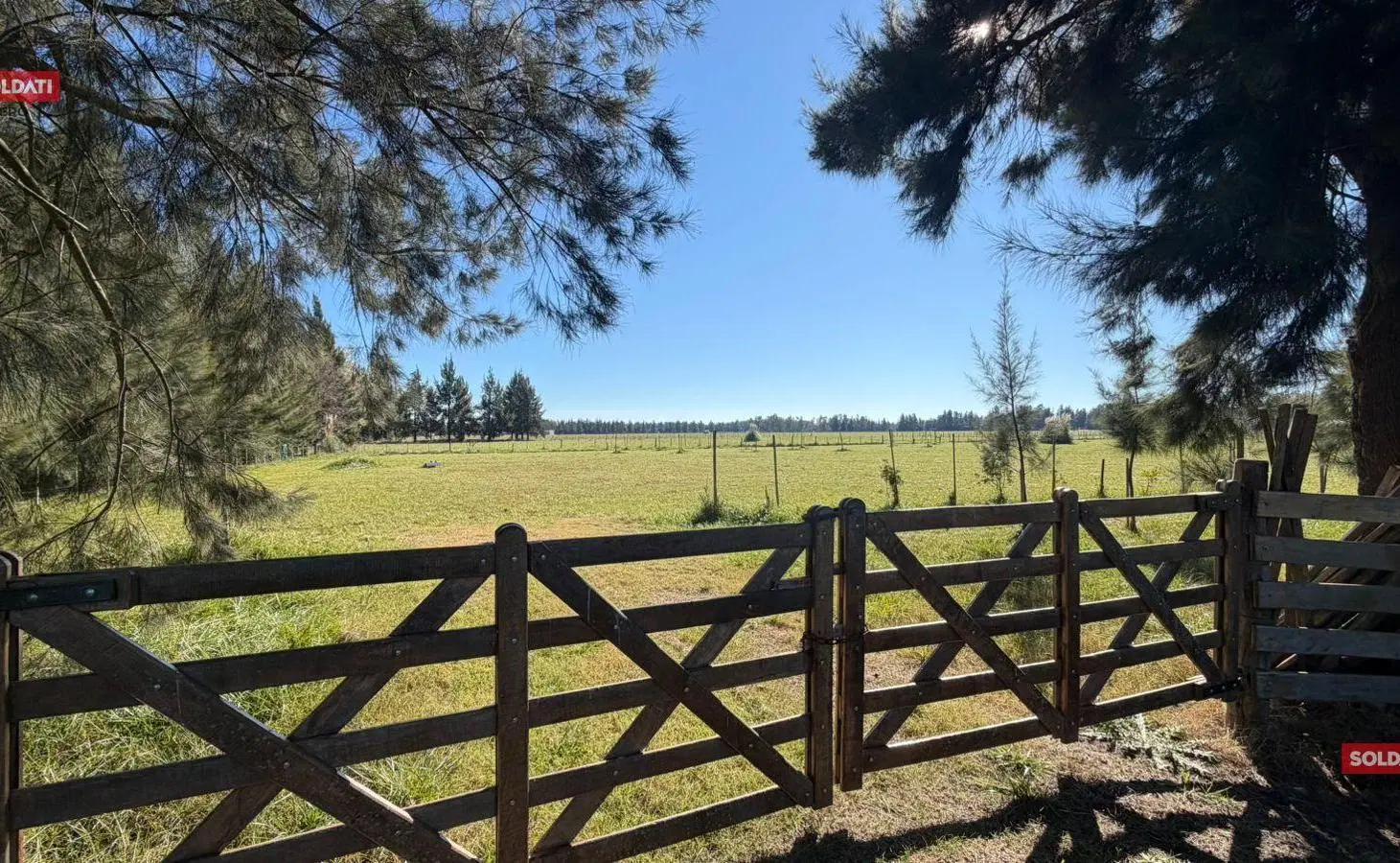 lote en venta 1