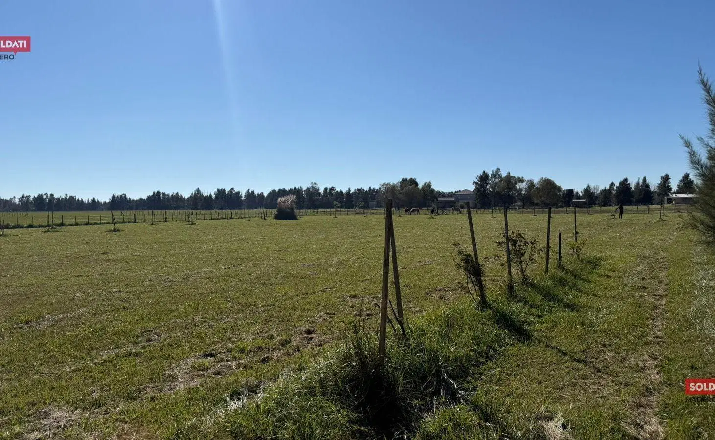 lote en venta 3