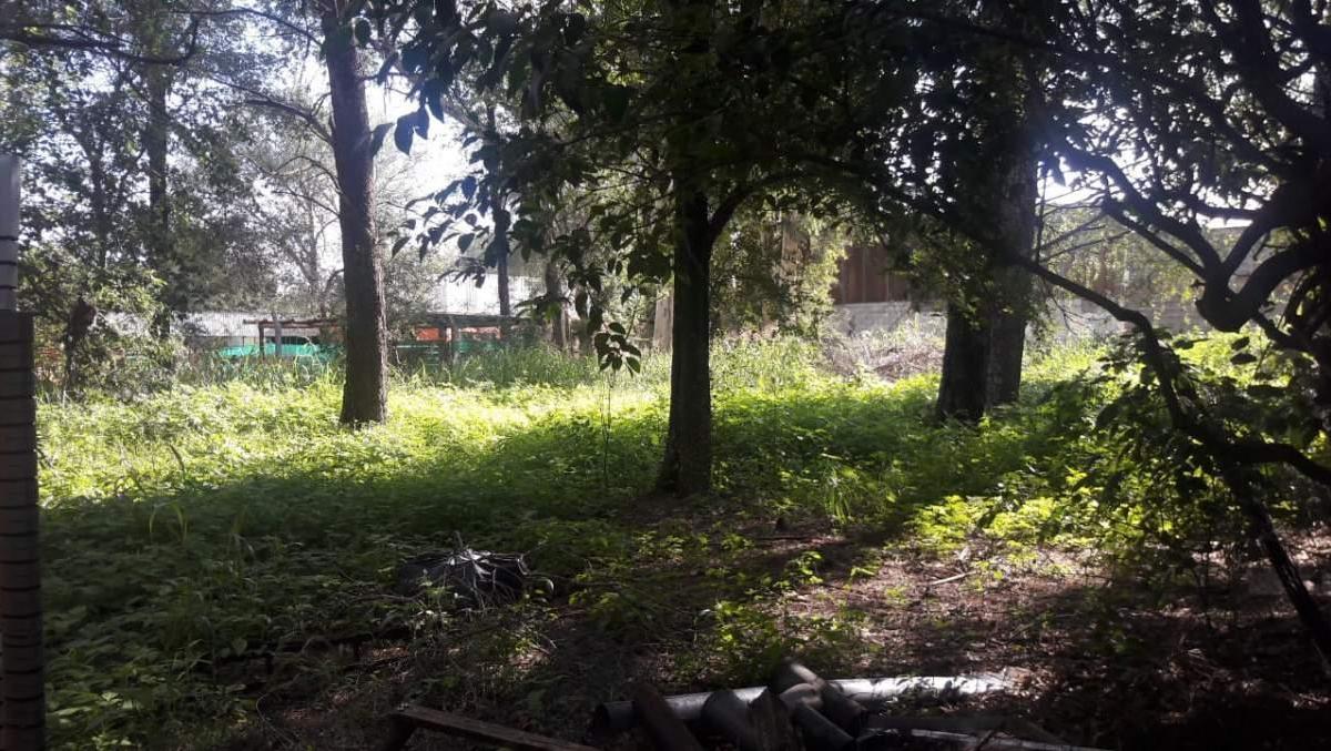 Atencion Inversores - Hermosa Casa Quinta de 5 000 m² 3