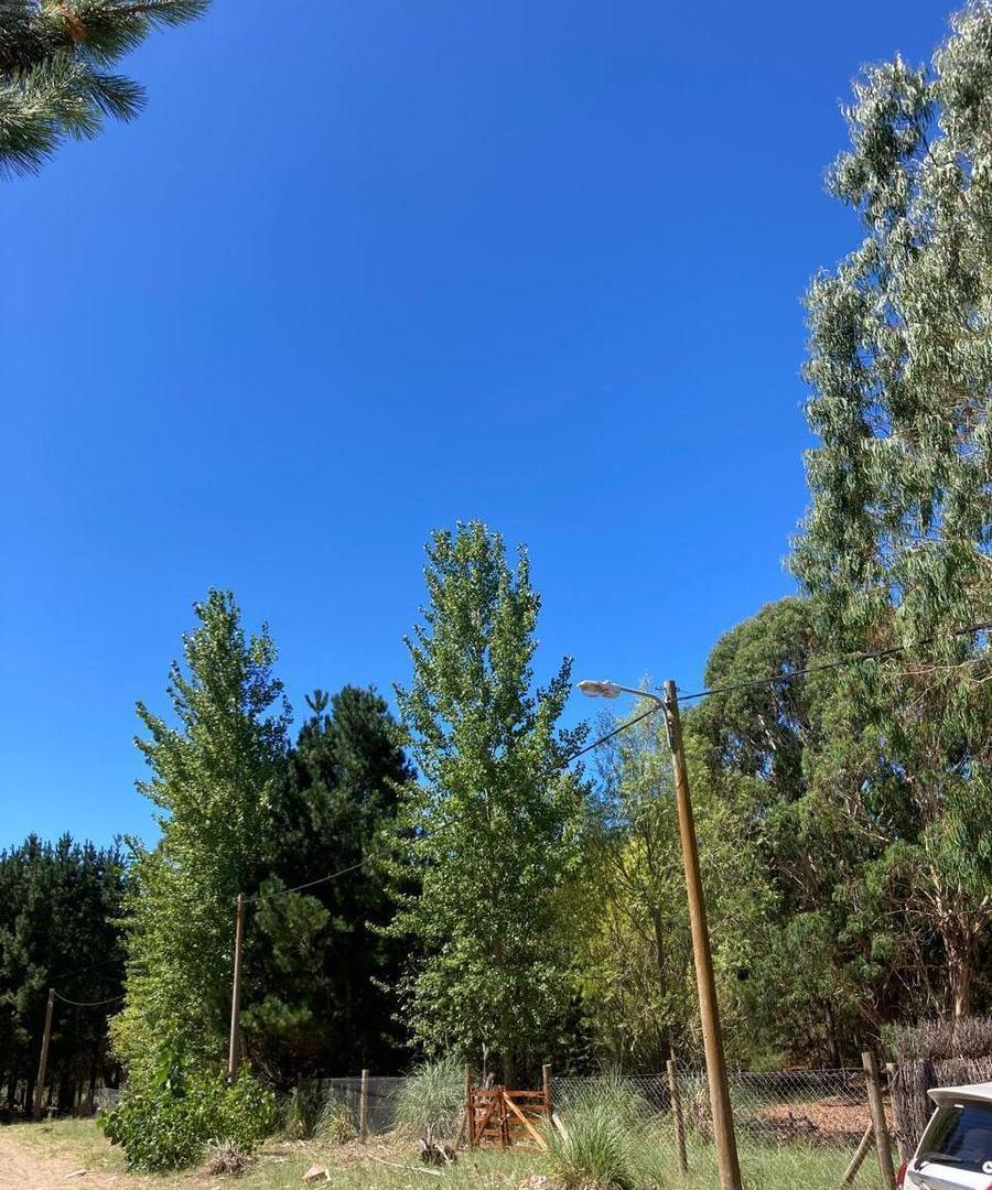 Foto de Terreno en San Bernardo, imagen 2