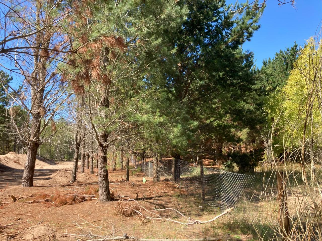 Foto de Terreno en San Bernardo, imagen 1