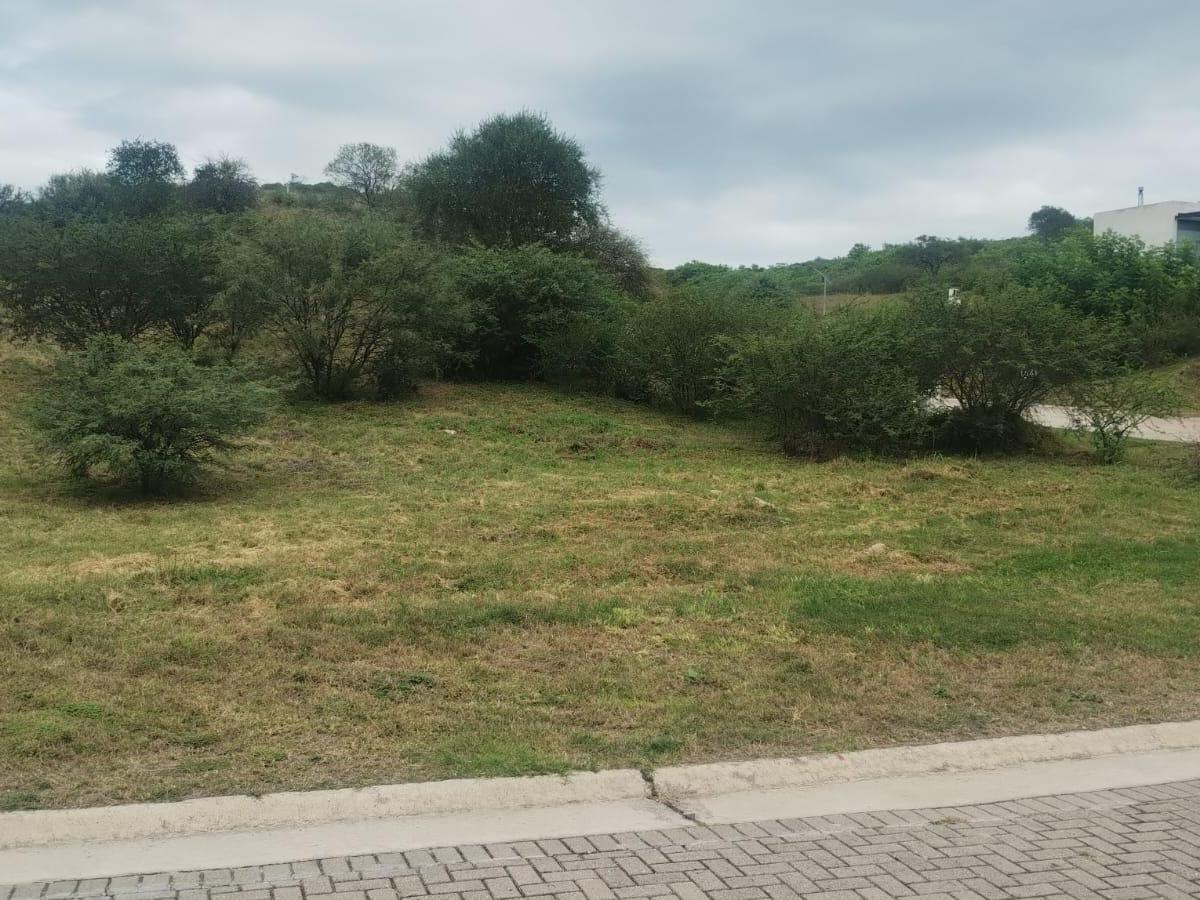 Colinas de La Deseada: lote en venta / 452 mts2