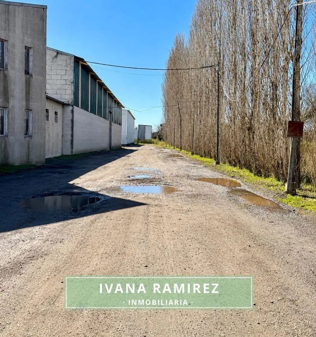 Se venden 2 Naves/Galpones Industriales Sobre Ruta Provincial N.º 42, Gowland. 5