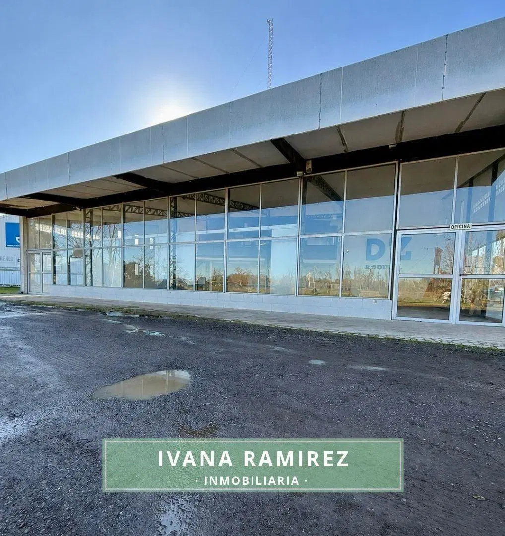 Se venden 2 Naves/Galpones Industriales Sobre Ruta Provincial N.º 42, Gowland. 4