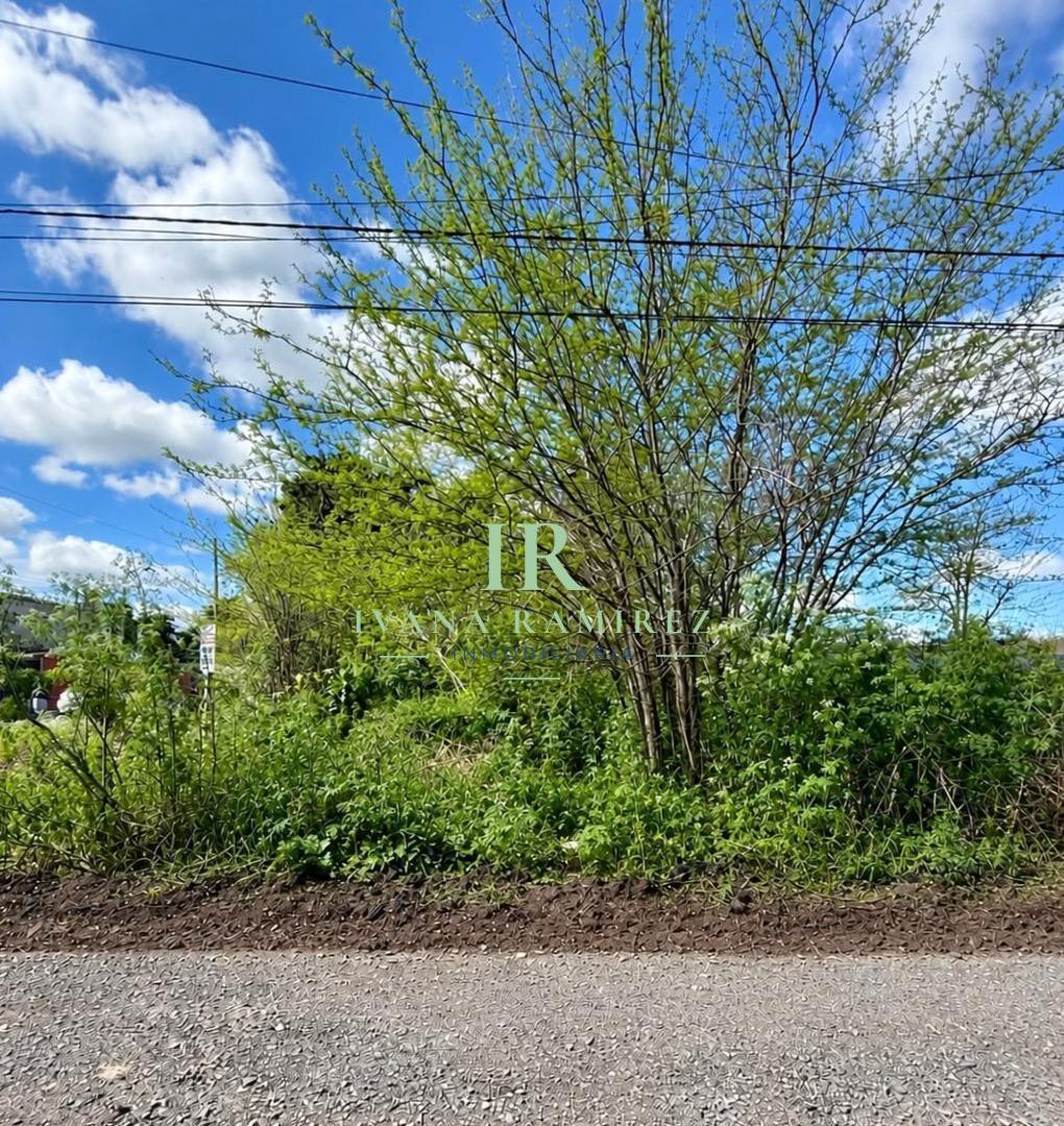 Foto de Se Vende Terreno de 307m2 Listo Para Escriturar en Barrio La Loma, imagen 2