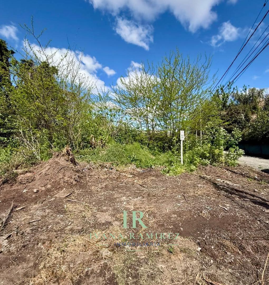 Foto de Se Vende Terreno de 307m2 Listo Para Escriturar en Barrio La Loma, imagen 3