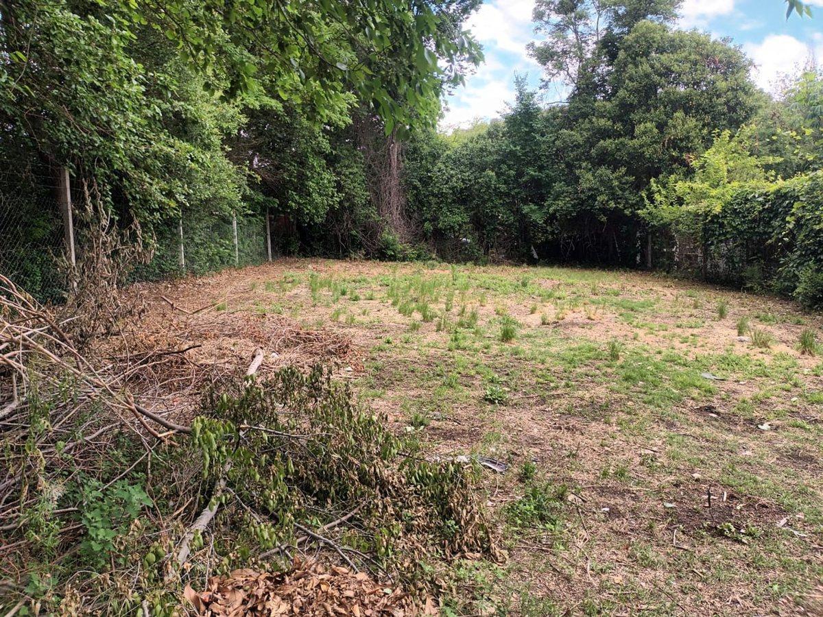 VENDO TERRENO EN POTRERO DE LOS FUNES