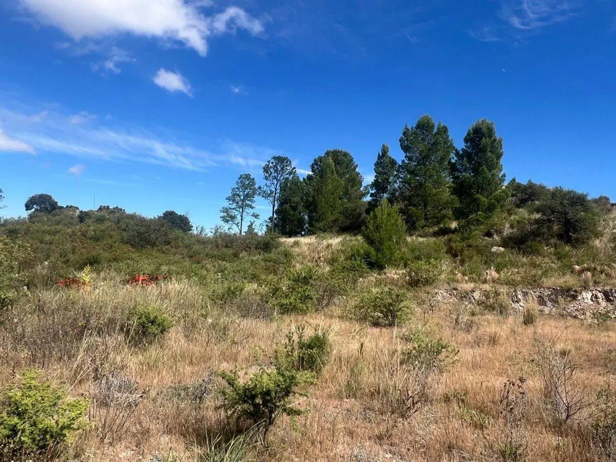 VENTA DE TERRENO EN  ALTURA CAMPO LA SIERRA 3