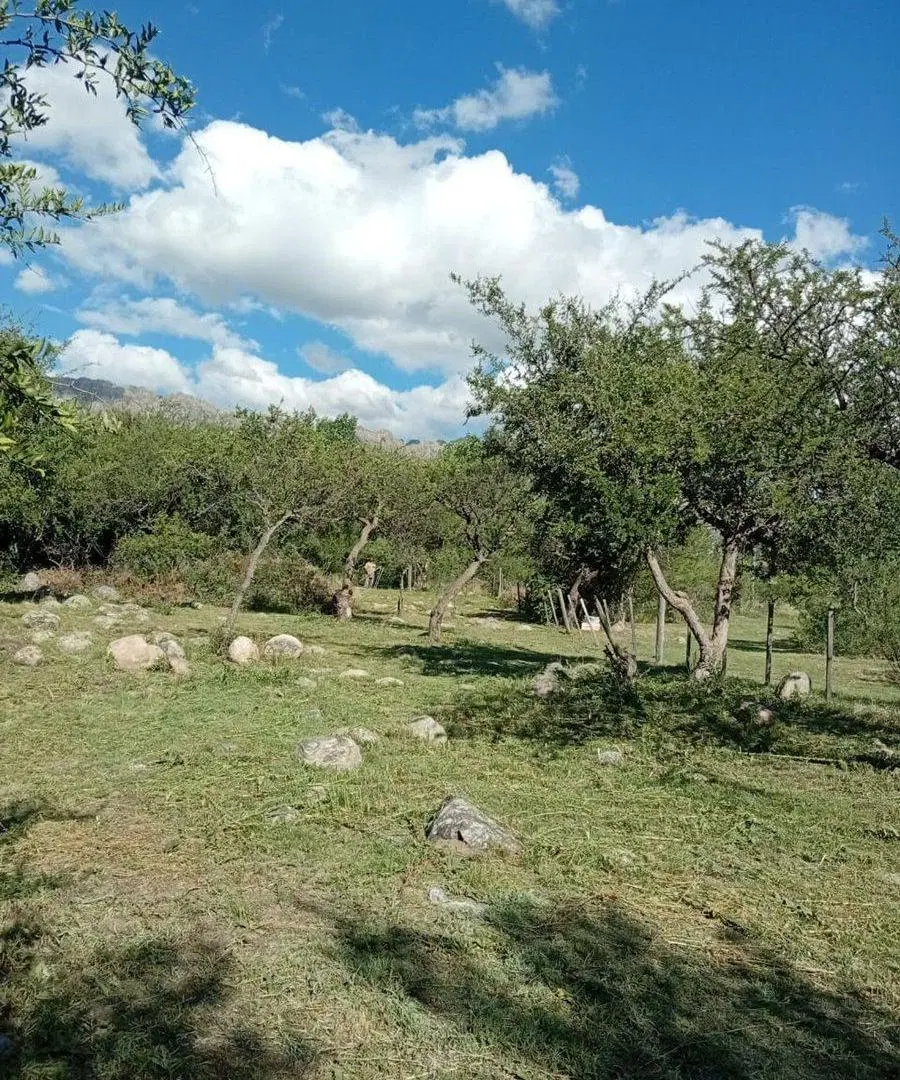 OPORTUNIDAD- Venta Terreno en Cortaderas 1000m2 5