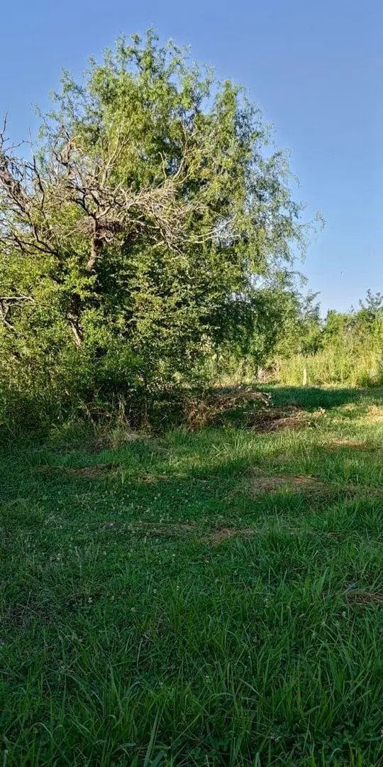 URGENTE VENTA DE TERRENO EN LA FLORIDA 3