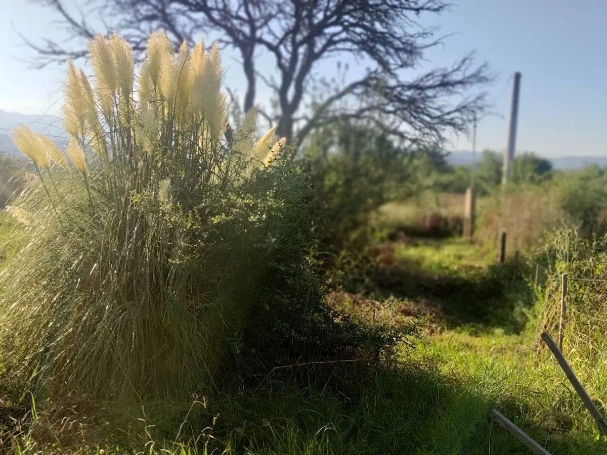 URGENTE VENTA DE TERRENO EN LA FLORIDA 4