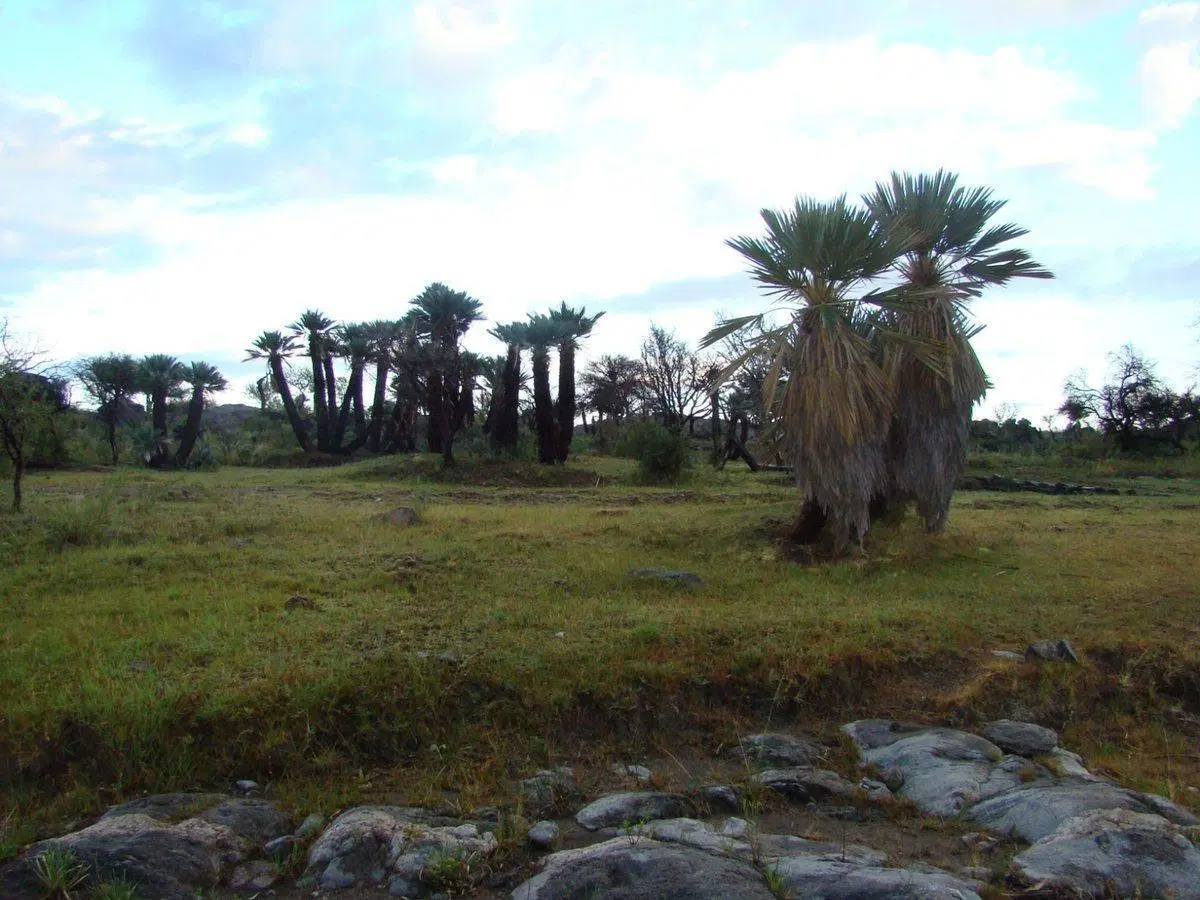 Campo en Venta – Ideal Desarrollo Turístico 5