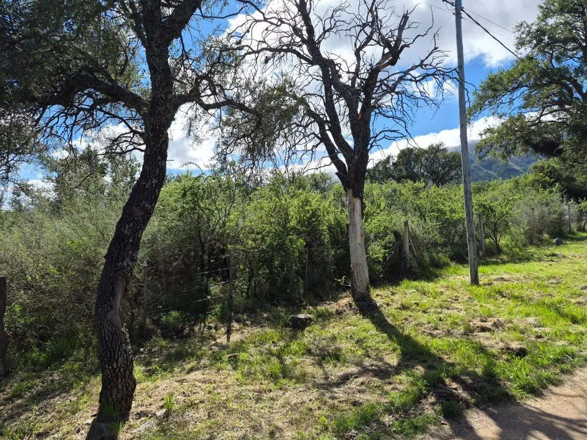 Importante Terreno en Carpintería San Luis 1700m2 4