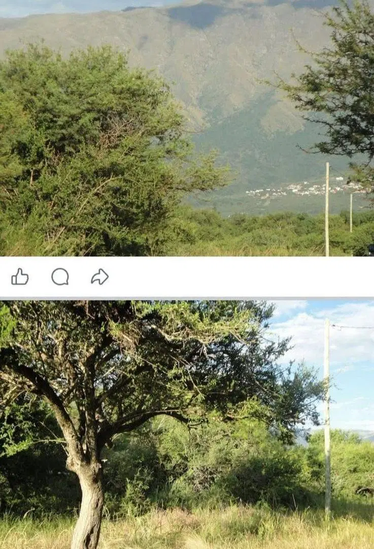 Oportunidad Única de Inversión en Carpintería 2
