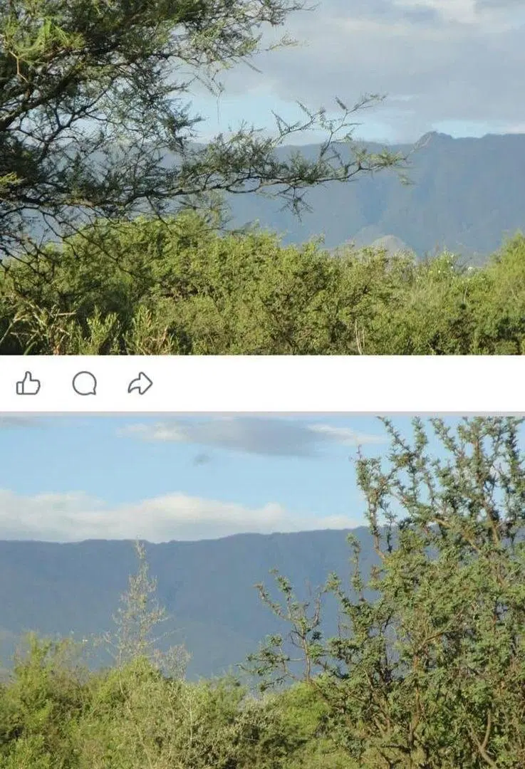 Oportunidad Única de Inversión en Carpintería 3