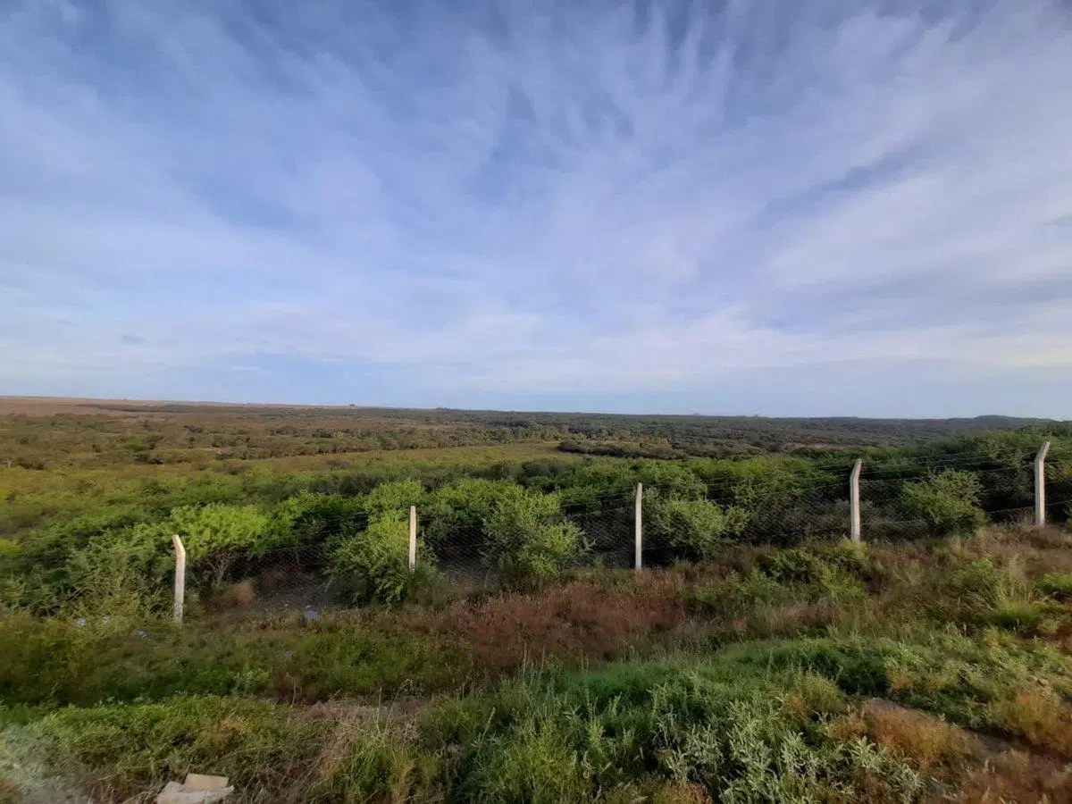 VENTA DE CASA CON 1 HECTAREA DE PARQUE 3