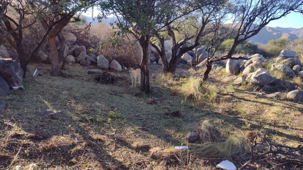 VENTA DE TERRENO BARRIO CERRADO EL PILAR 2