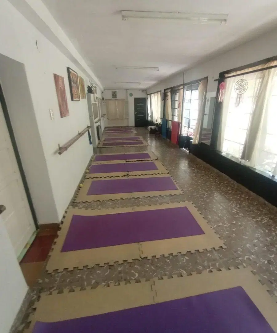 propiedad en venta: Casa + departamento San Luis 4