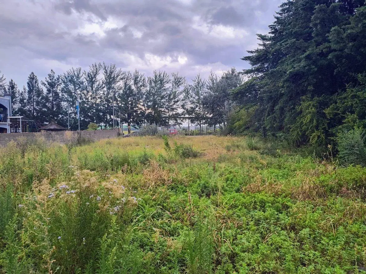 Venta – Lote 2.330 m² sobre Ruta 39 | San Luis 4